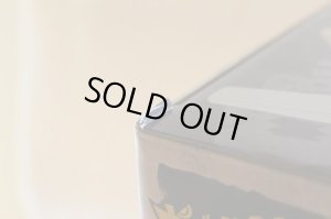 Photo11: Zyuden Sentai Kyoryuger / Zyudenryu Series Pteraiden-Oh with Package (11)