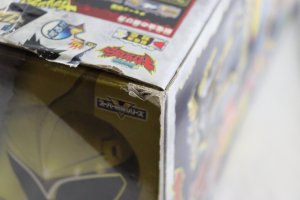 Photo13: Zyuden Sentai Kyoryuger / Zyudenryu Series Pteraiden-Oh with Package (13)